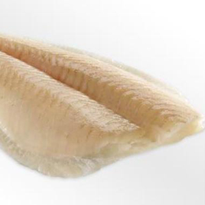 Scholfilet diepvries doos 5 kg